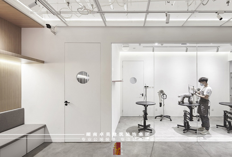 寵物店裝修設(shè)計(jì)效果2 寵物店裝修設(shè)計(jì)效果2